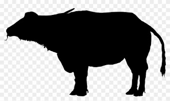 Water Buffalo Clipart Silhouette - Water Buffalo Silhouette
