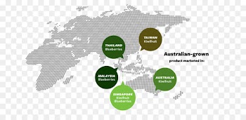Water Business Product design Brand - new zealand kiwi berries 