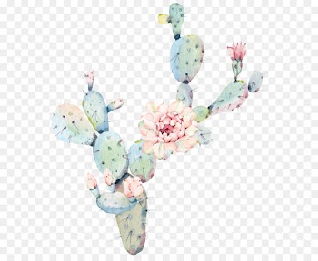 Water color flower cactus plant 
