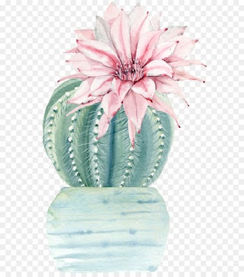 Water color flower plant cactus 