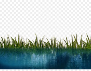 Water Computer Icons - High Quality Water Png Download 