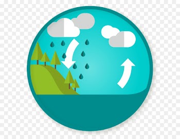 Water cycle Clip art Image Evaporation - ciclo infographic 