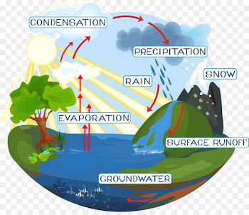 Water cycle Diagram Royalty-free - water 