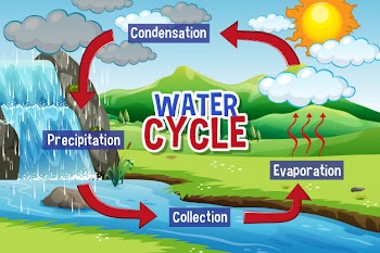 Water cycle process on earth Free Vector