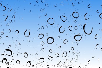 Water Dew Close-up Photo