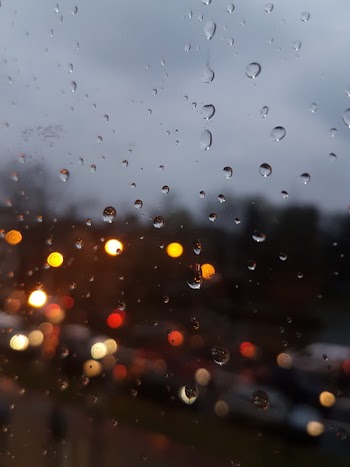 Water Dew Drop on Glass