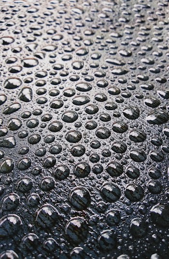 Water Dewdrops