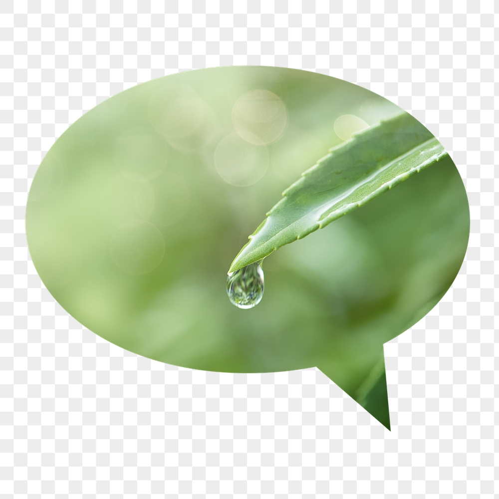 Water drop png leaf badge | Free PNG - rawpixel
