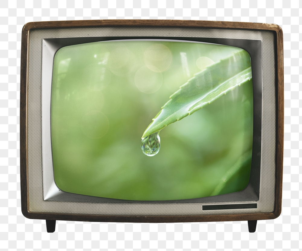 Water drop png leaf sticker, | Free PNG - rawpixel