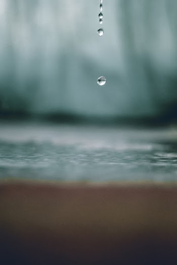 Water Drop Selective-focus Photography