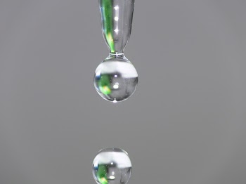 Water Droplet in Close Up Photography