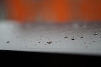 Water Droplets