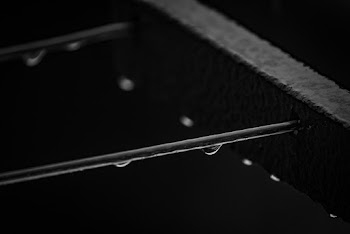 Water Droplets