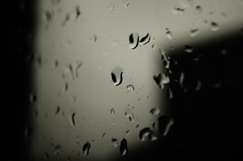 Water Droplets