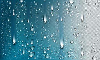 Water droplets isolated on transparent background Free Vector