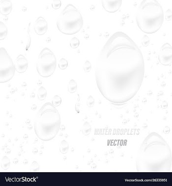 Water droplets on a white scene vector image