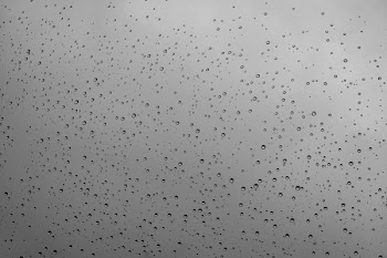 Water Droplets on Glass