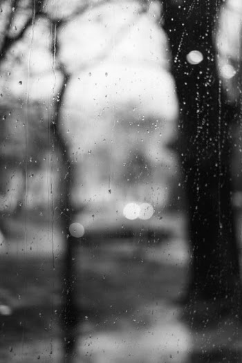 Water Droplets on Glass Window · Free Stock Photo