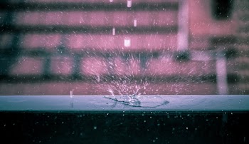 Water Drops