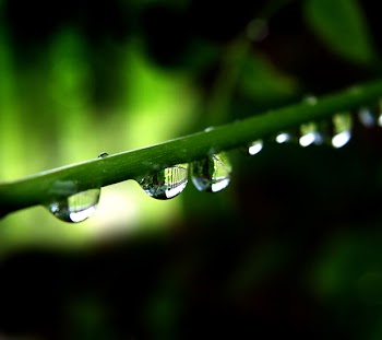 water_drops.jpg
