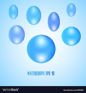 Water drops vector image