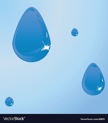 Water drops vector image