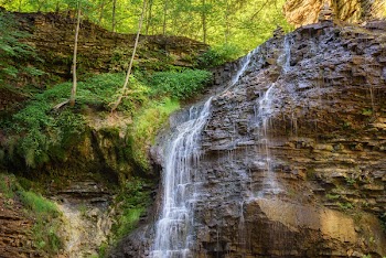 Water Falls in Forest