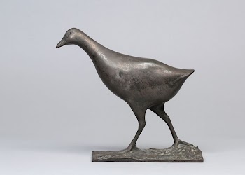 Water hen | Free Photo - rawpixel