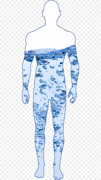 Water Human body Hydration reaction Dehydration Drinking - human body 