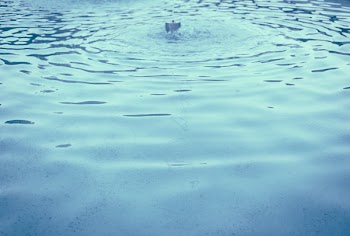 Water in a fountain