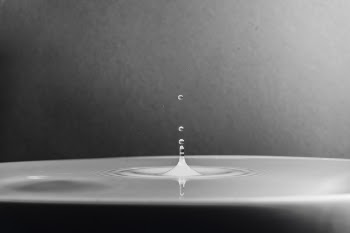 Water in Grayscale and Micro Photography