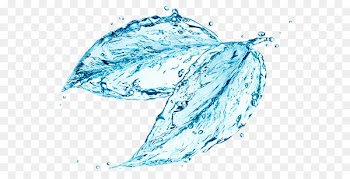 Water ionizer Stock photography Drop Flower - water 