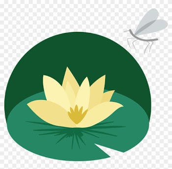 Water Lily Leaf Clipart Images Gallery - Water Lily Leaf Clipart Images Gallery