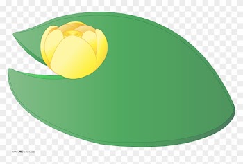 Water Lily Leaf Clipart - Water Lilies