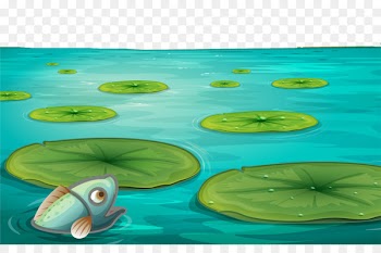 Water lily Pond Clip art - The fish in the pond. 