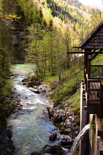 Water Mill Near Body of Water