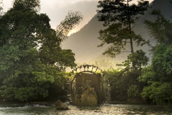 Water Mill Surrounded by Trees