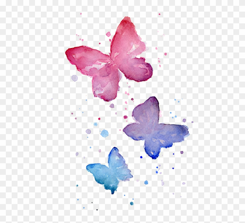 Water Paint Butterfly Png
