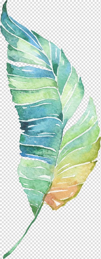 Water painted green leaves, green and brown leaf transparent background PNG clipart