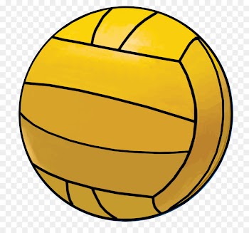 Water polo ball Pro Recco - water polo 