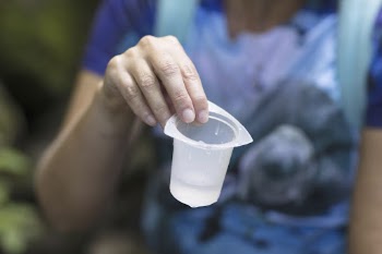 Water Quality Testing Activity. Free | Free Photo - rawpixel