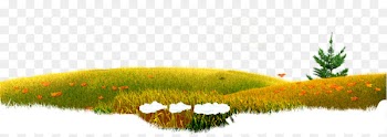 Water resources Desktop Wallpaper Grasses Vegetation - masha and the bear 