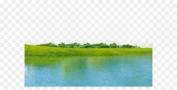 Water resources Ecosystem Green Grassland Wallpaper - Nature green river 
