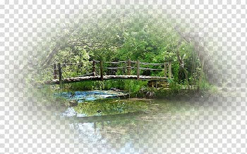 Water resources Nature reserve Pond Wetland Vegetation, others transparent background PNG clipart