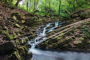 Water Running on Ruins