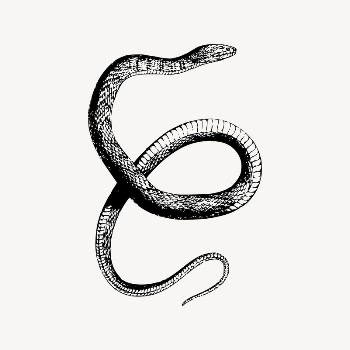 Water snake clipart, animal illustration | Free Vector Illustration - rawpixel