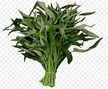 Water spinach Portable Network Graphics Image Vegetable Project - vegetable 