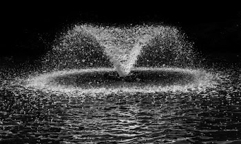 Water Splash