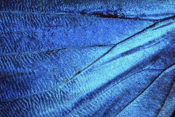 Water texture, abstract, ocean, background, | Free Photo Illustration - rawpixel