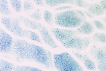 Water texture glitter effect image background